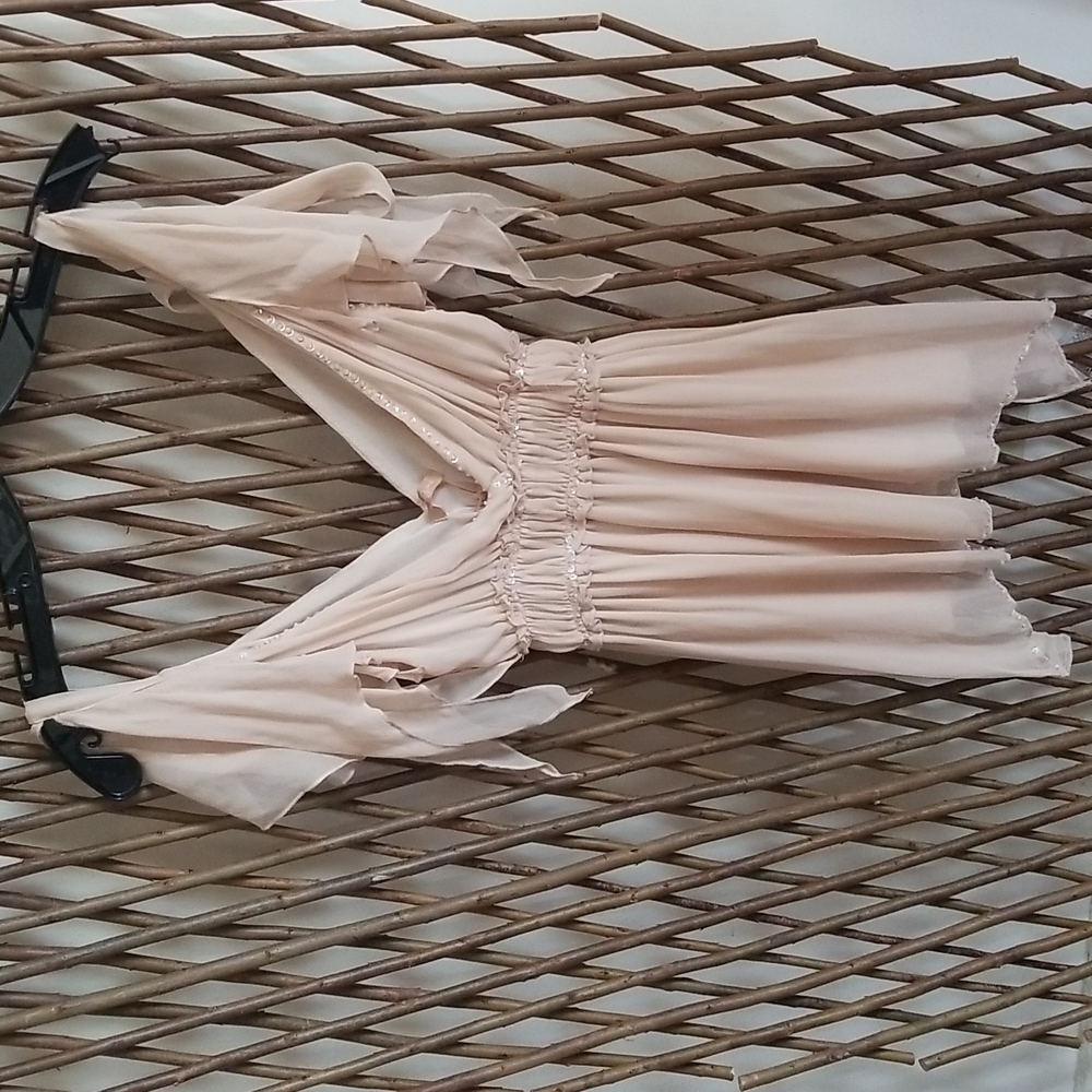 Romantic Taupe Chiffon Top